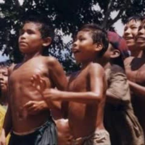 Why The Deer Has No Gall