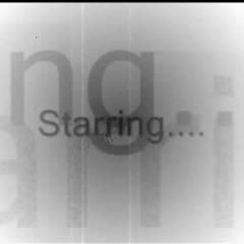 Taking Terri Mueller