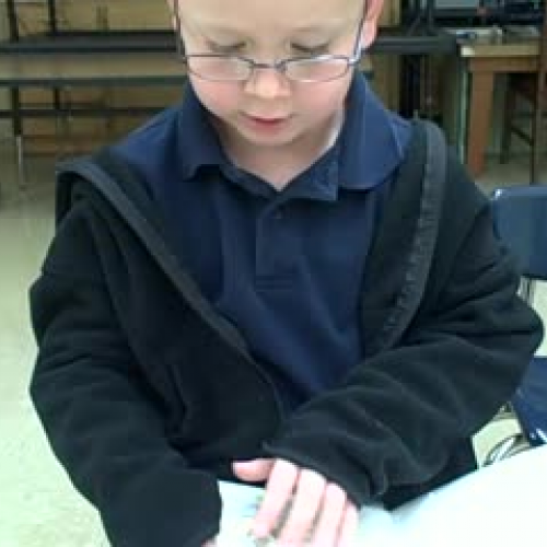 Elephants Can Read 3