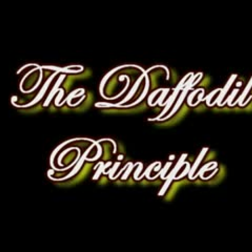 The Daffodil Principle