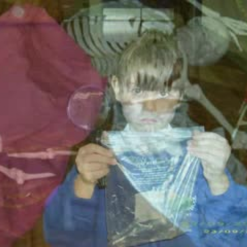 Forensic Science Mystery