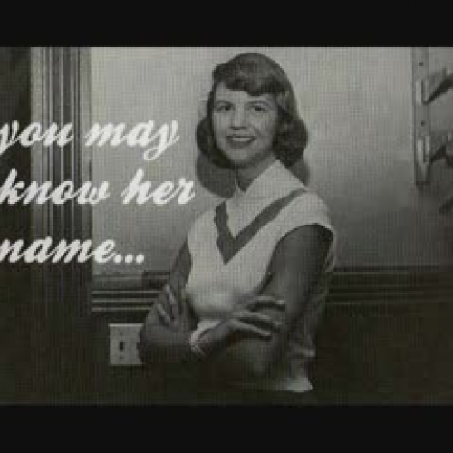 Stephanie Hemphill's Your Own, Sylvia