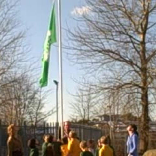Raising the Flag
