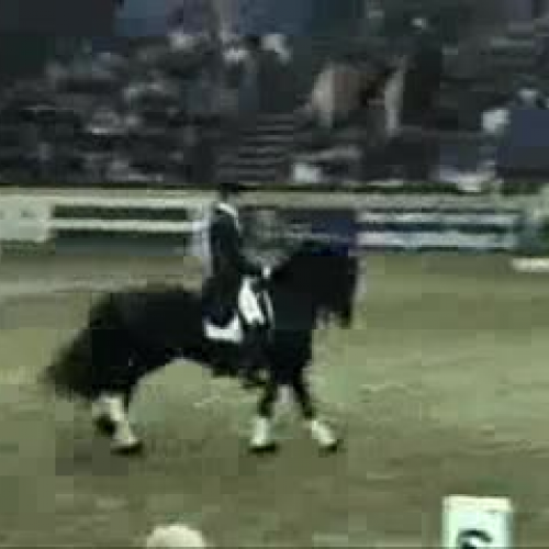 EDIT 202 Assignment Video