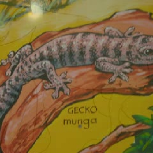 Our Place: Hawker rocks