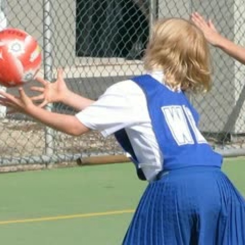 Our Place: Netball
