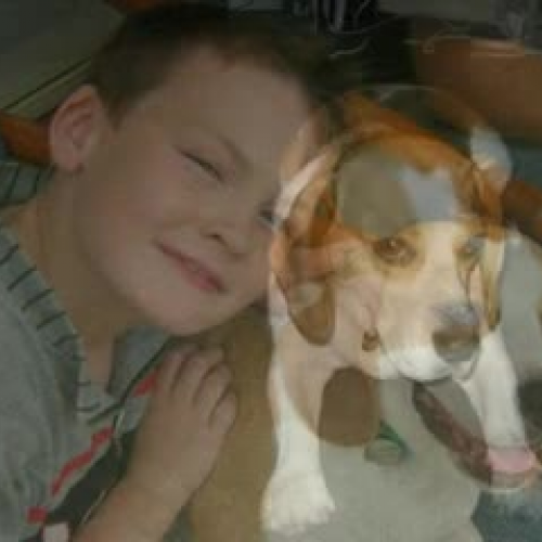 Our Place: My Dog Willow