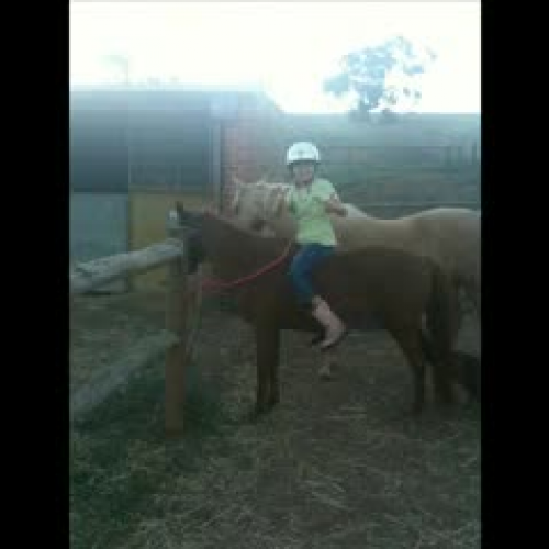 Our Place: My Pony Alfie