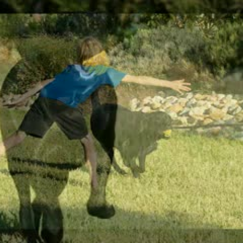 Our Place: My Dog Pepper