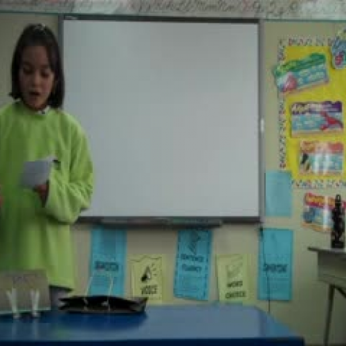 Invention Presentation