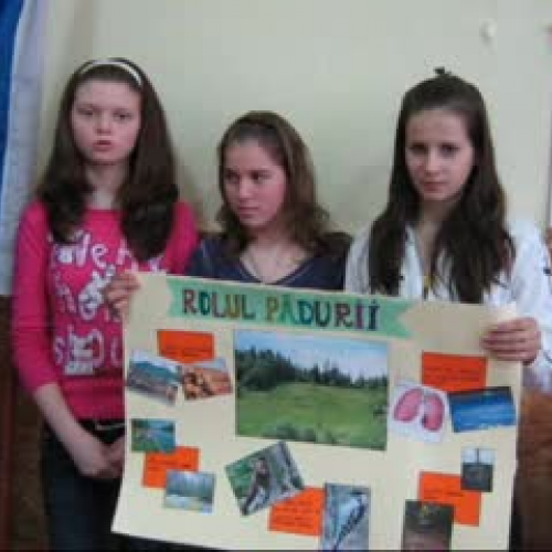 "The Role of the Forest"