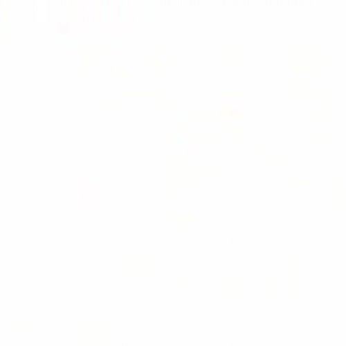 Solving One Step Multiplication Equations