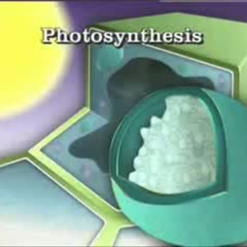 EDIT 202 Sample Video