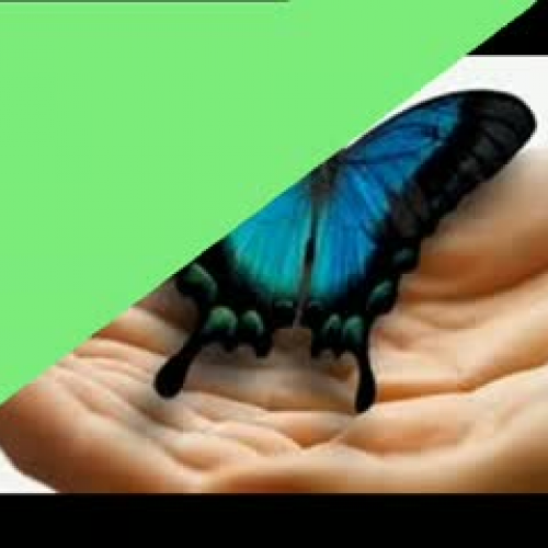 Without violence in schools!