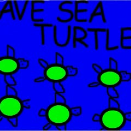 turtle