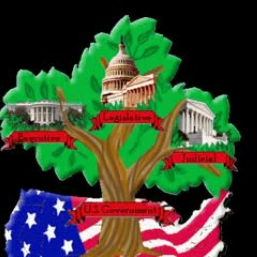 Three Branches of Government