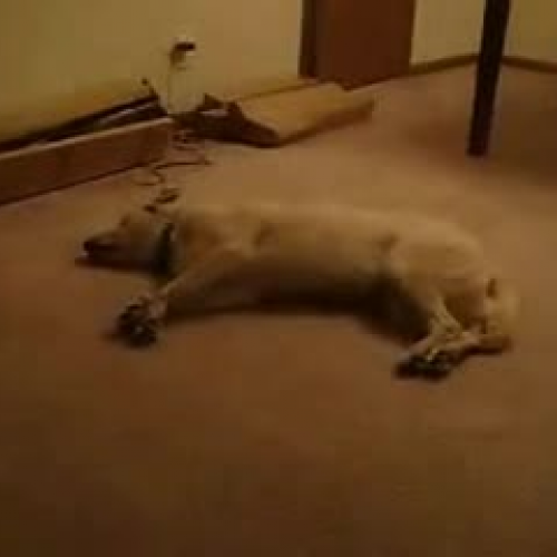 EDIT 202 Sample Video