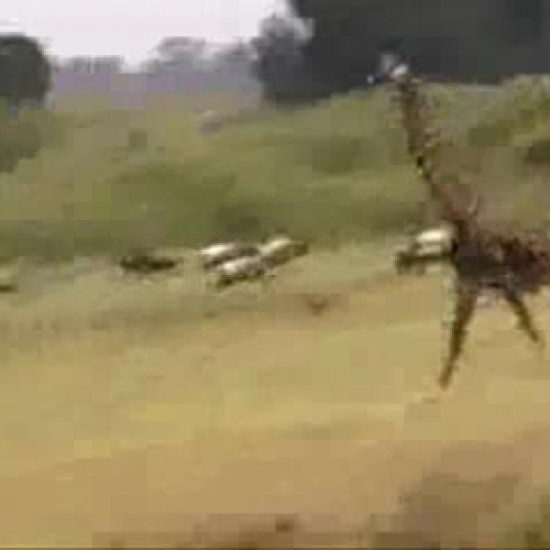 EDIT202 Sample Video