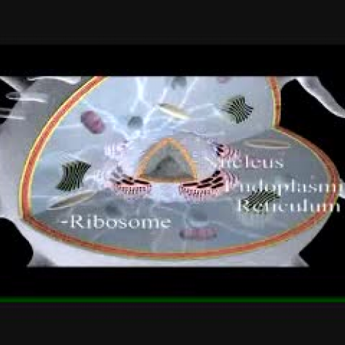 EDIT 202 Sample Video