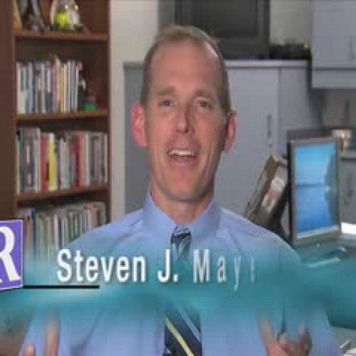 Budget Overview VIDEO