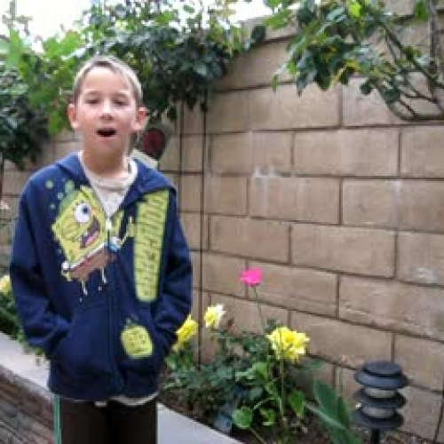 Even a 7 year-old can learn the quadratic for