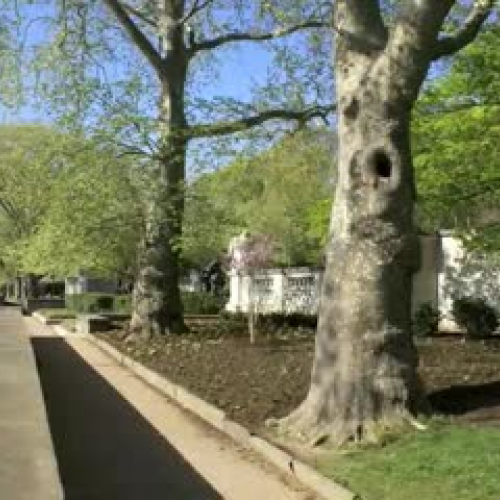 &quot;Ellen Phillips Samuel Memorial- Central