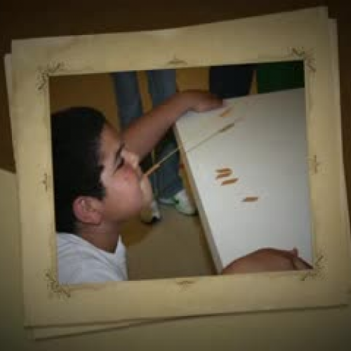 JAMS Family Game Show Night