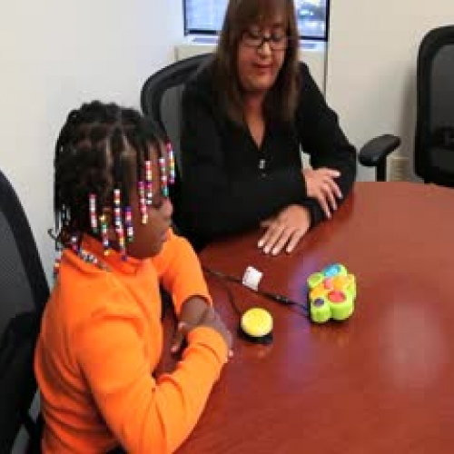 Light and Sound Butterfly#148