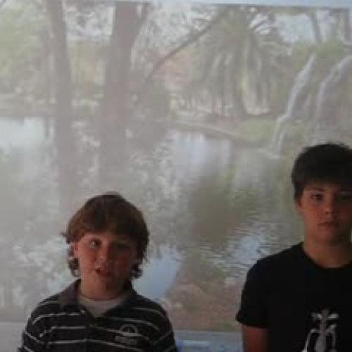 IMPORT.PLACES IN S. FELIU (BCN)