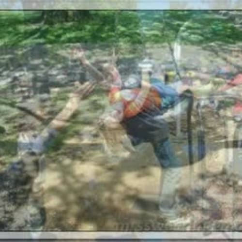 Lion's Club photostory