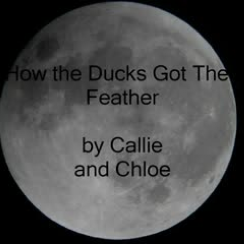 How the Ducks Got their Fine Feathers