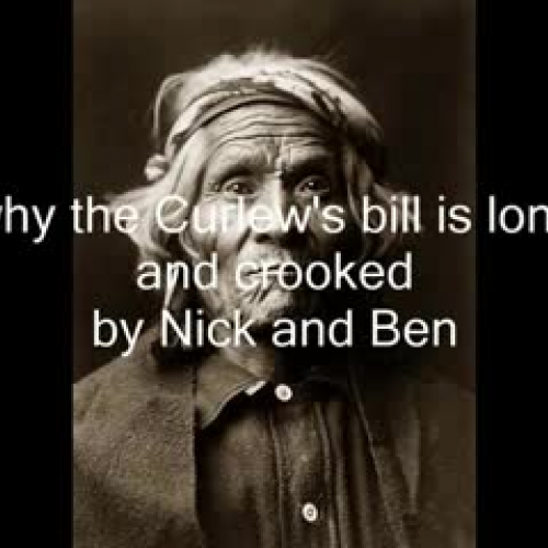 Why the Curlew's Bill is Long