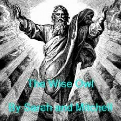 The Wise Owl