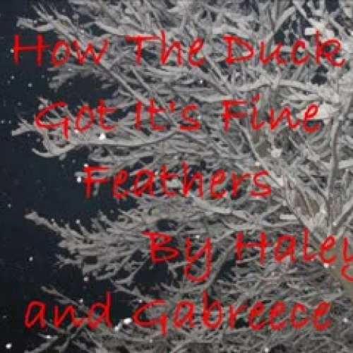 How the Duck GOt its Fine Feathers