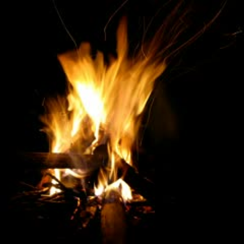 Why Chipmunk's Back is Stripped