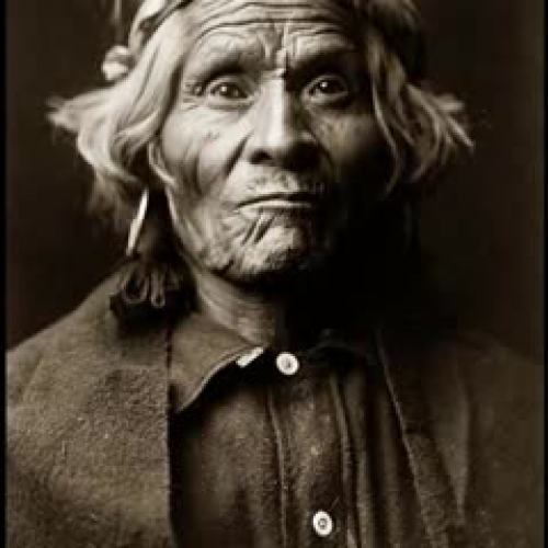 Why the Curlew's Bill is Long and Crooked