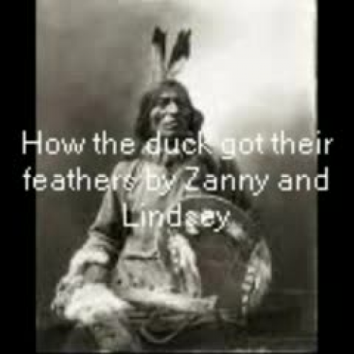 How the Duck got its Feathers
