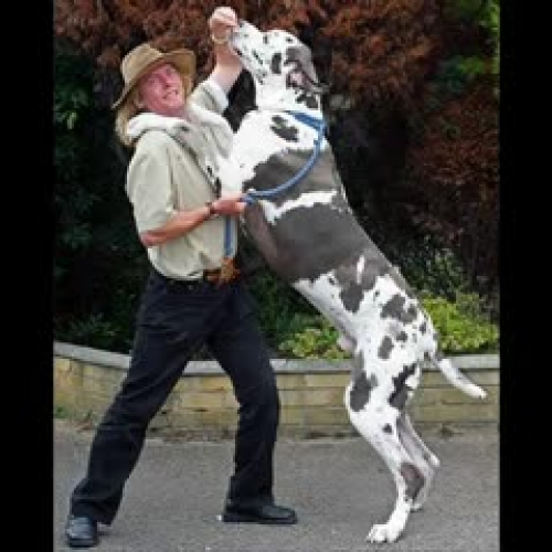 Time is Getting Faster