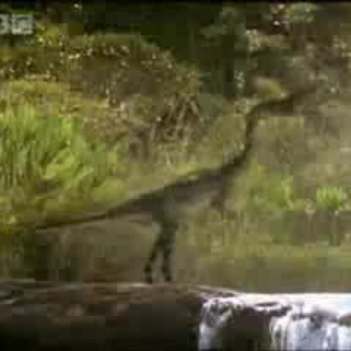 EDIT 202 Dinosaur Video