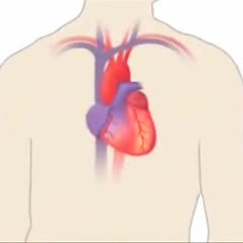 Edit 202 Sample Video