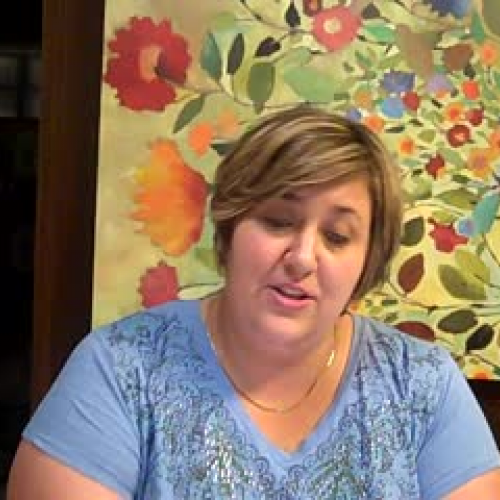 Chicago River Commentary