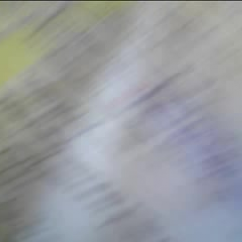 Test at Technology Conference