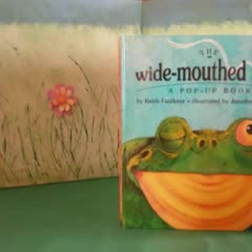 The Wide Mouth Frog