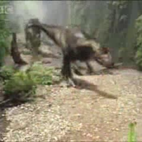 EDIT 202 Sample Video