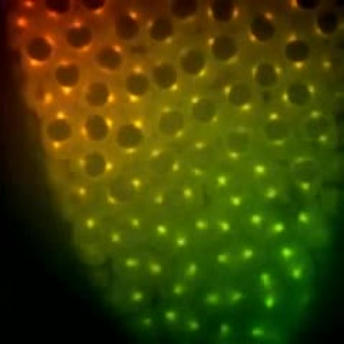 EDIT 202 Sample Video