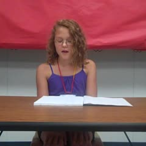 Lights Camera Action