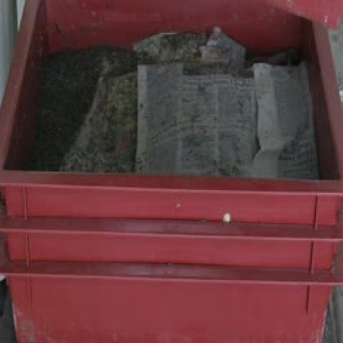 Worm Production Video San Diego