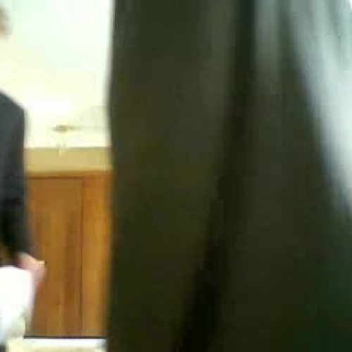 Simulated Congressional Visit