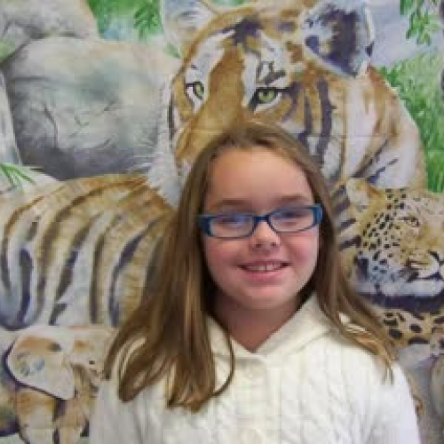 Photostory 2010 2011