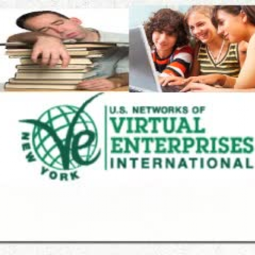 Virtual Enterprise Interntional